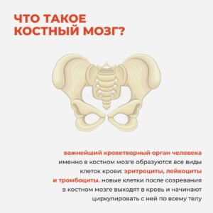 ВсемирныйДеньДонора